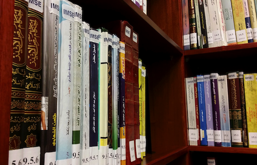 Books in the IBP Reading Room at the GU-Q Library